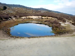 DSCN9547 DSCN9547