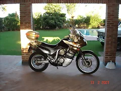 Mi Ultima Transalp