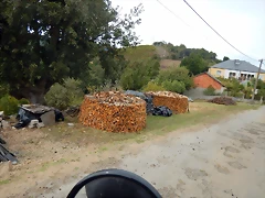 DSCN9799 DSCN9799