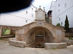 DSCN9605 DSCN9605