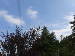 20130724_105652 20130724_105652