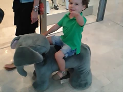 Bruno en elefante Bruno en elefante