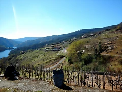 DSCN5110 DSCN5110