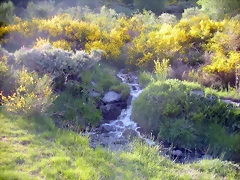 DSCN5150 DSCN5150