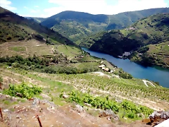 DSCN7844 DSCN7844