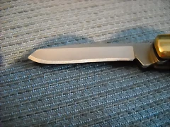 DSCN0004 DSCN0004