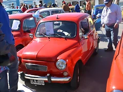 DSC_0113 DSC_0113
