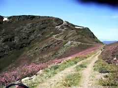 DSCF2539 DSCF2539