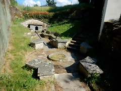 DSCN2331