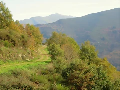 IMG_9065 IMG_9065