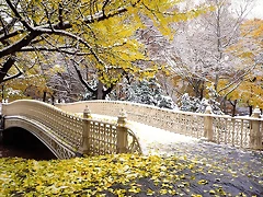 Early Snowfall, Central Park, New York Early Snowfall, Central Park, New York