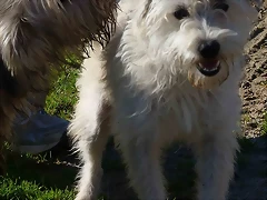 ODIN22 ODIN22
