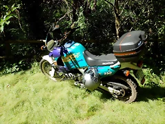 DSCN7641 DSCN7641