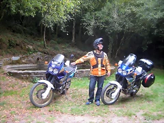 IMG_0484 IMG_0484