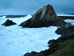 DSC_0753 DSC_0753