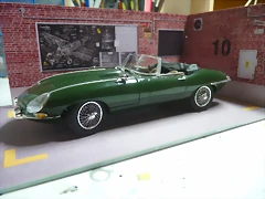 P1100410 P1100410