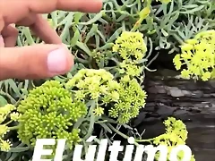 Video Mar?a IG Stories 9-9-2018 (6) Video Mar?a IG Stories 9-9-2018 (6)