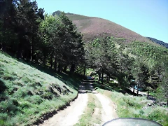 DSCF2517 DSCF2517