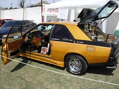 SDC10452 SDC10452
