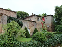IMG_6606 IMG_6606