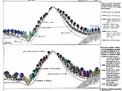 sucesion ideal cordillera cantabrica