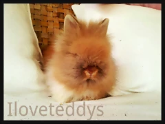 LINEcamera_share_2013-07-19-00-07-29