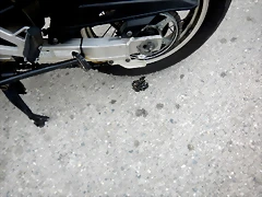DSCN6521 DSCN6521