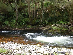 DSCN3178 DSCN3178