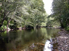 DSCN3180 DSCN3180