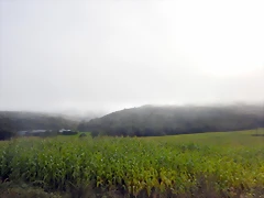 DSCN2971 DSCN2971