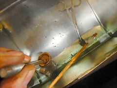 DSCN1919 DSCN1919