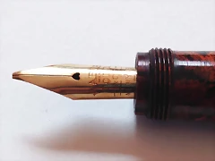 Spp3
