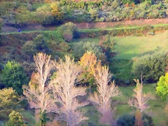 41-IMG_3379 41-IMG_3379