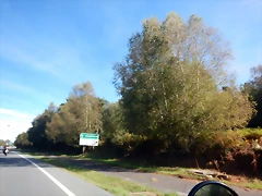 DSCN0438 DSCN0438
