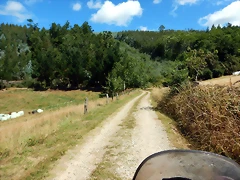 DSCN7633 DSCN7633