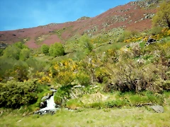 DSCN1045