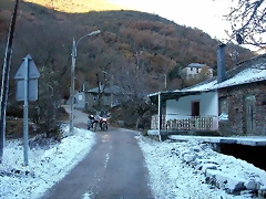 DSCN6992