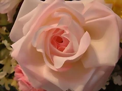 Rosa-1mujer