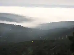 01, niebla en las caadas 1, marca