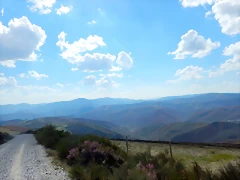 DSCN9684 DSCN9684