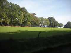 DSCN9784 DSCN9784