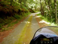 DSCN1338 DSCN1338
