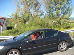 IMG_0137 IMG_0137
