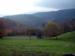 DSCN4580 DSCN4580