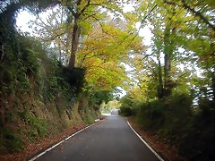 DSCN4574 DSCN4574
