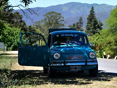 DSC_0737 DSC_0737