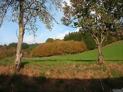 DSCN4569 DSCN4569