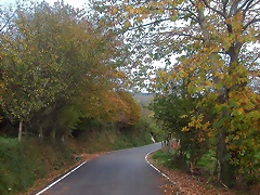 DSCN4576 DSCN4576