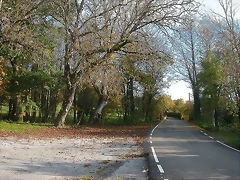 DSCN4563 DSCN4563