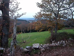 DSCN5008 DSCN5008